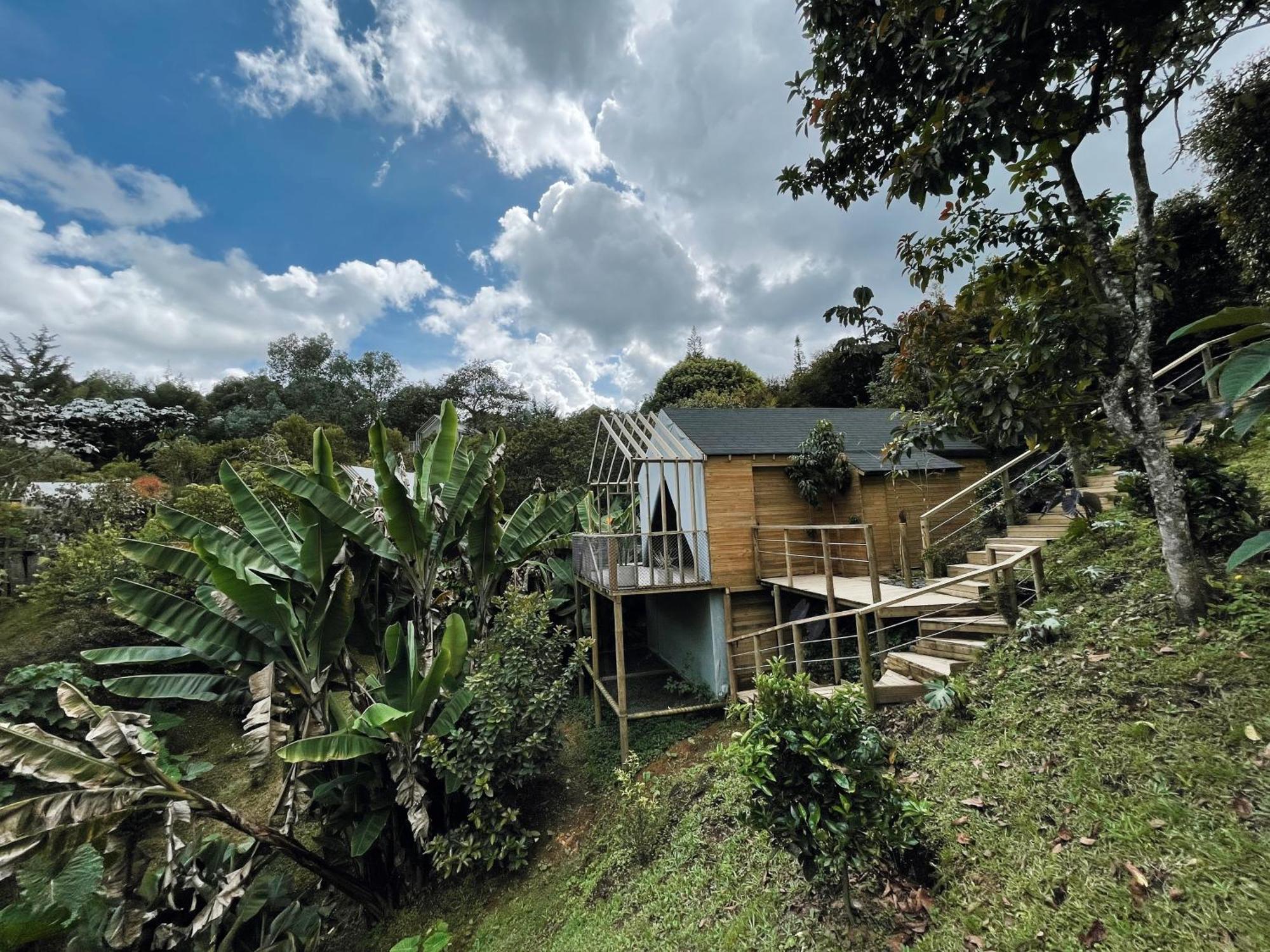 ホテル Teva Glamping & Retreat リオネグロ 部屋 写真