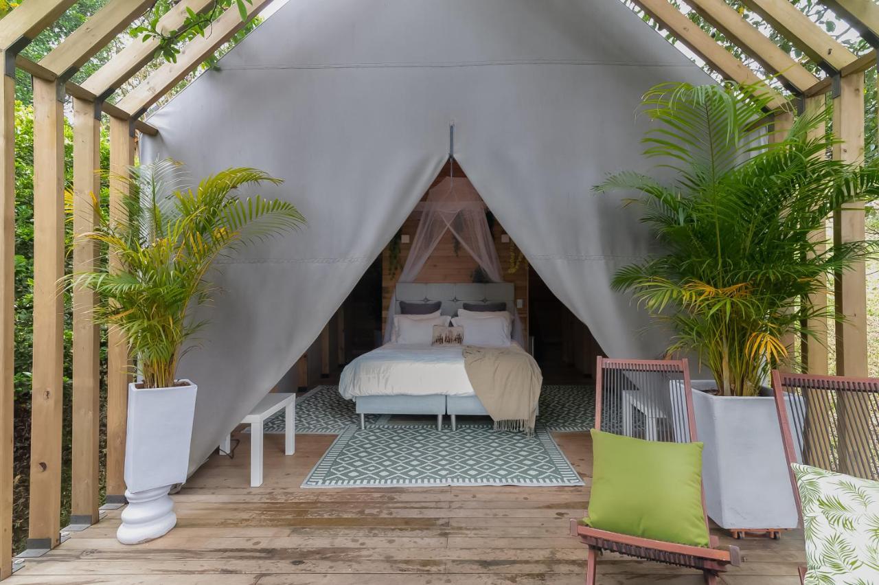 ホテル Teva Glamping & Retreat リオネグロ 部屋 写真